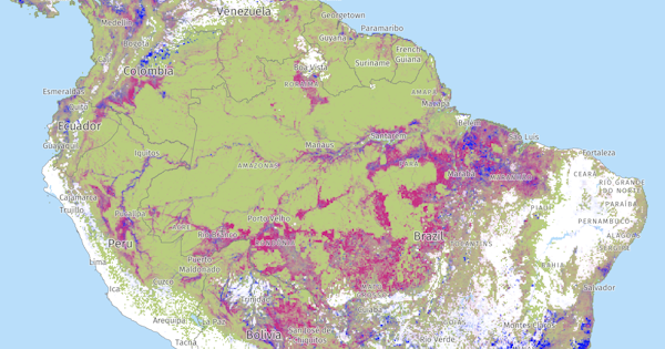 A map of the Amazon shows large areas along its edges and rivers in particular losing tree cover