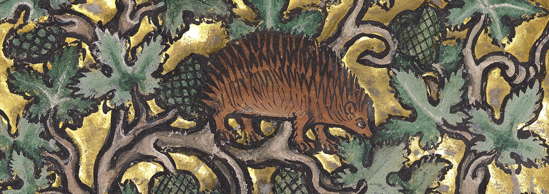 The medieval folklore of Britain’s endangered wildlife ‘omens’ – from hedgehogs to nightjars