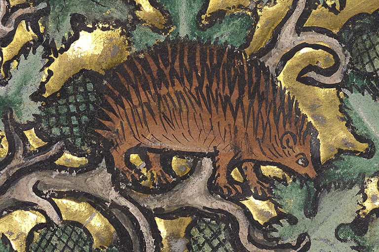 Illustration of a hedgehog with gilt gold background
