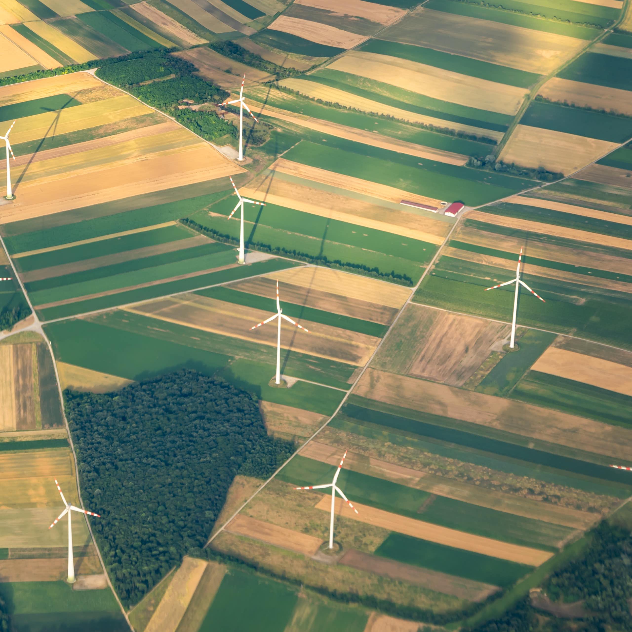 A view of a wind farm from above.