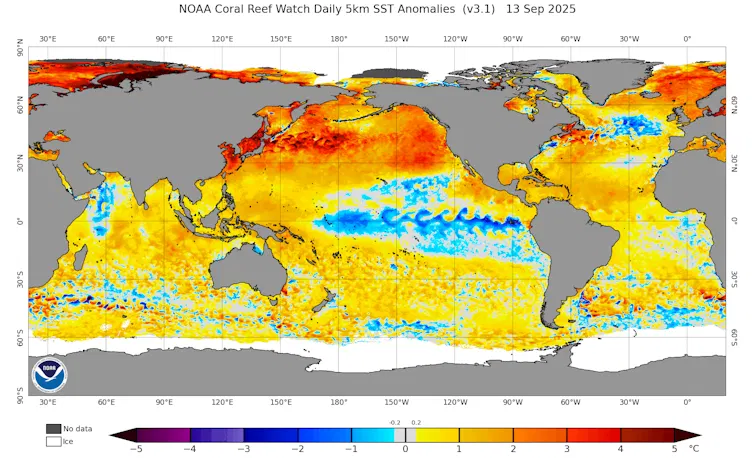 Carte animée montrant les températures des eaux de surface dans le Pacifique Nord.