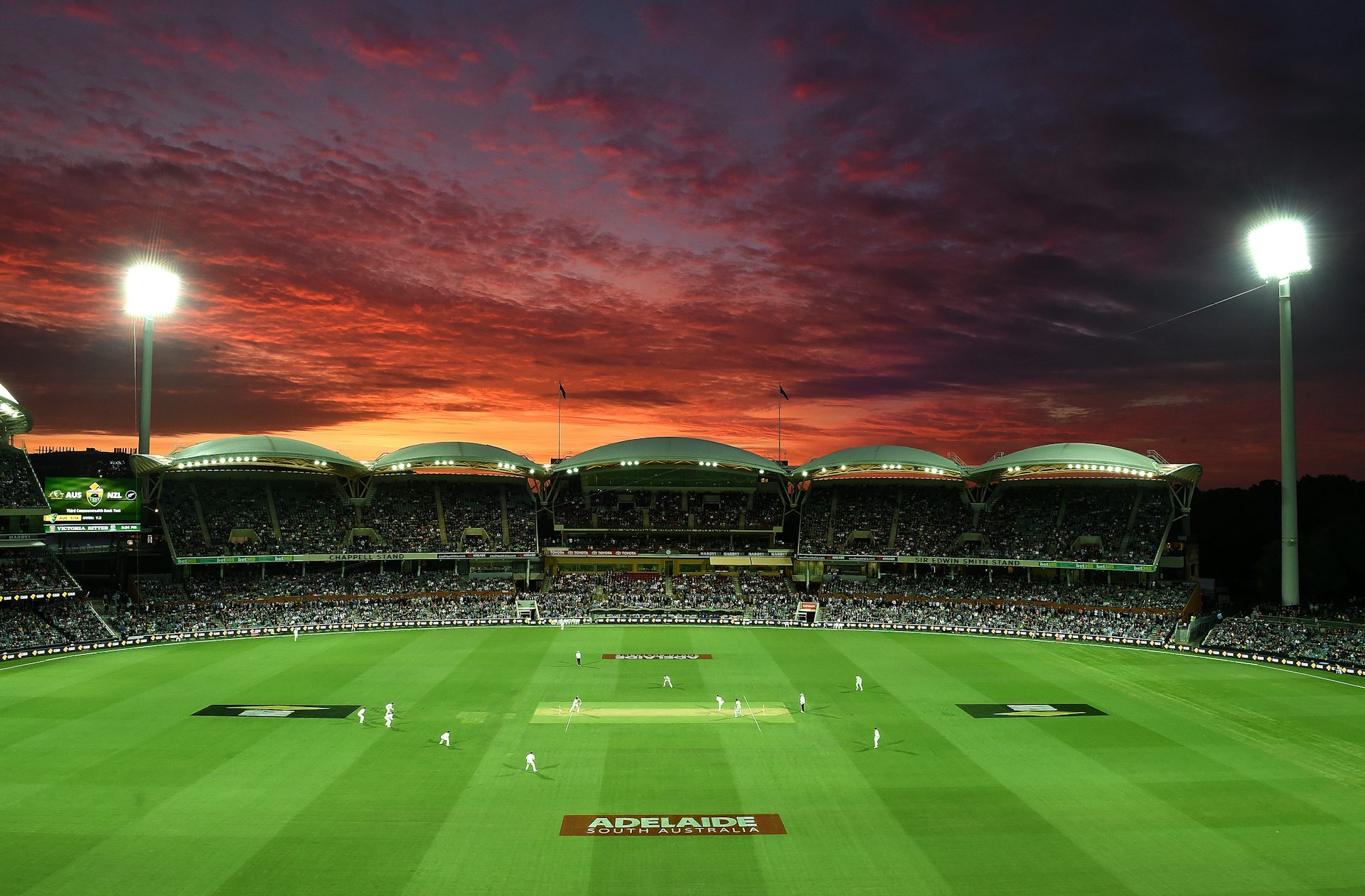 Australia and New Zealand do battle under lights during a Test match at the Adelaide Oval.