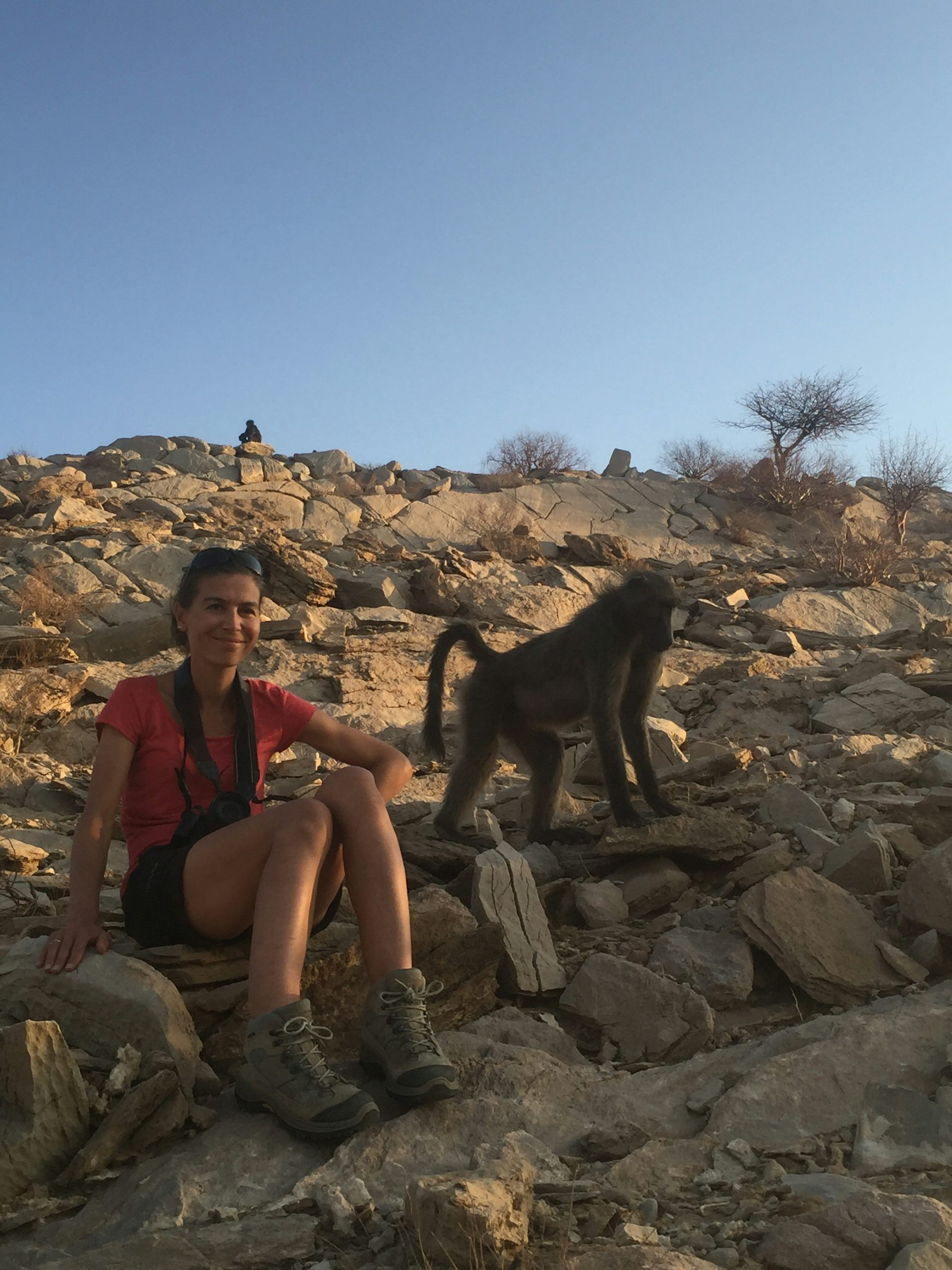 Élise Huchard sur son terrain d'étude, à Tsaobis Nature Park, en Namibie. 