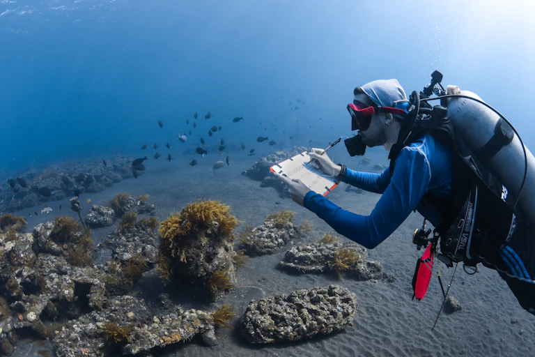 Coral reef