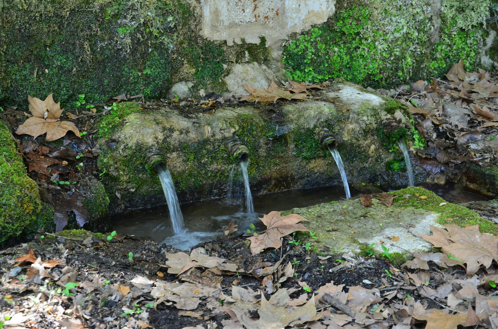 Antibióticos en el agua subterránea: cómo frenar este contaminante emergente