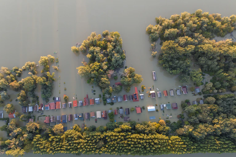 flooded housing area, trees