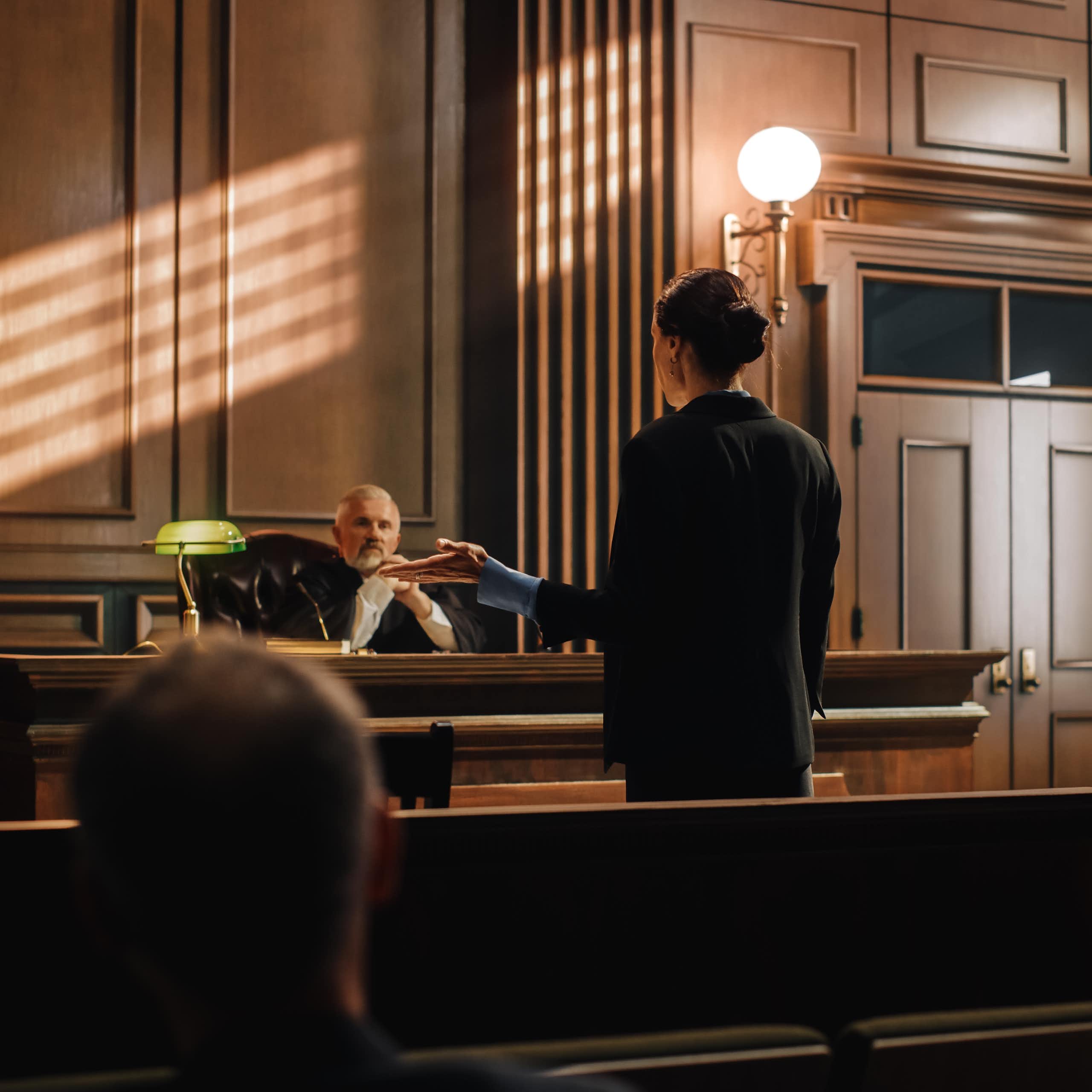 Lawyer and judge in courtroom