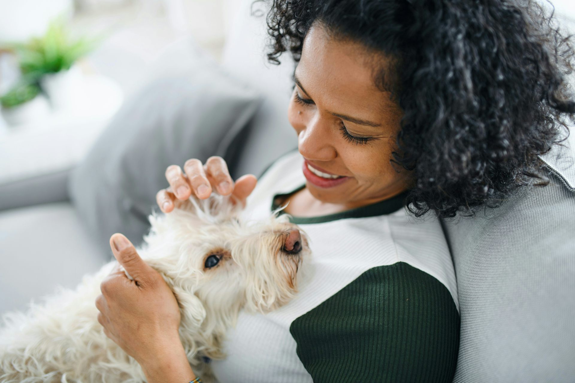 Do dogs behave differently during an owner’s pregnancy? Many dog owners think so