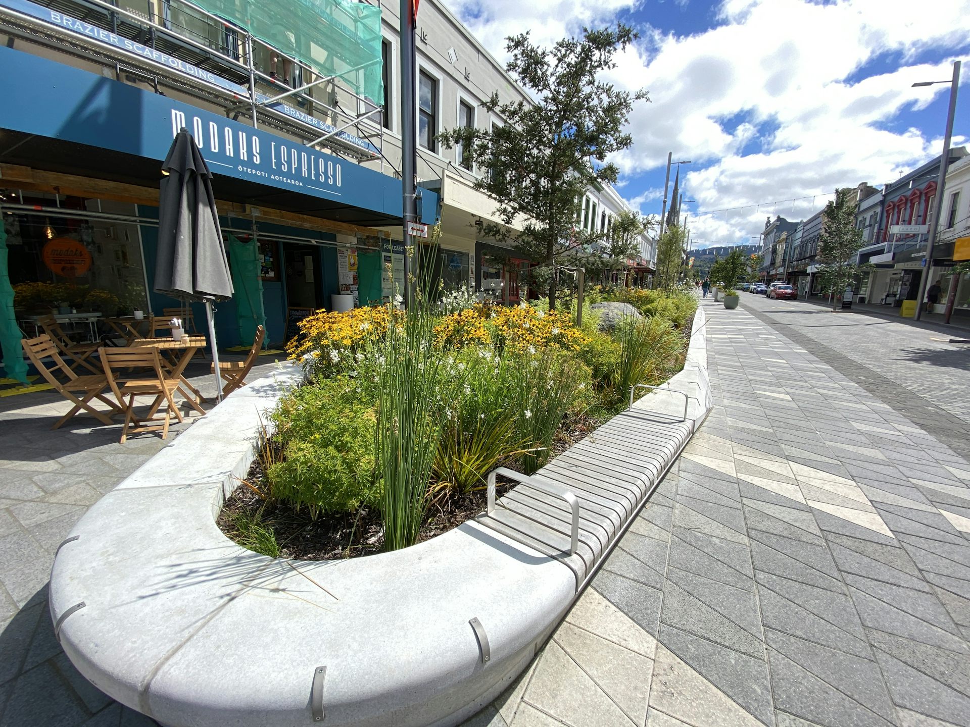 Dunedin’s inner-city greening project shows even small spaces can be wildlife havens