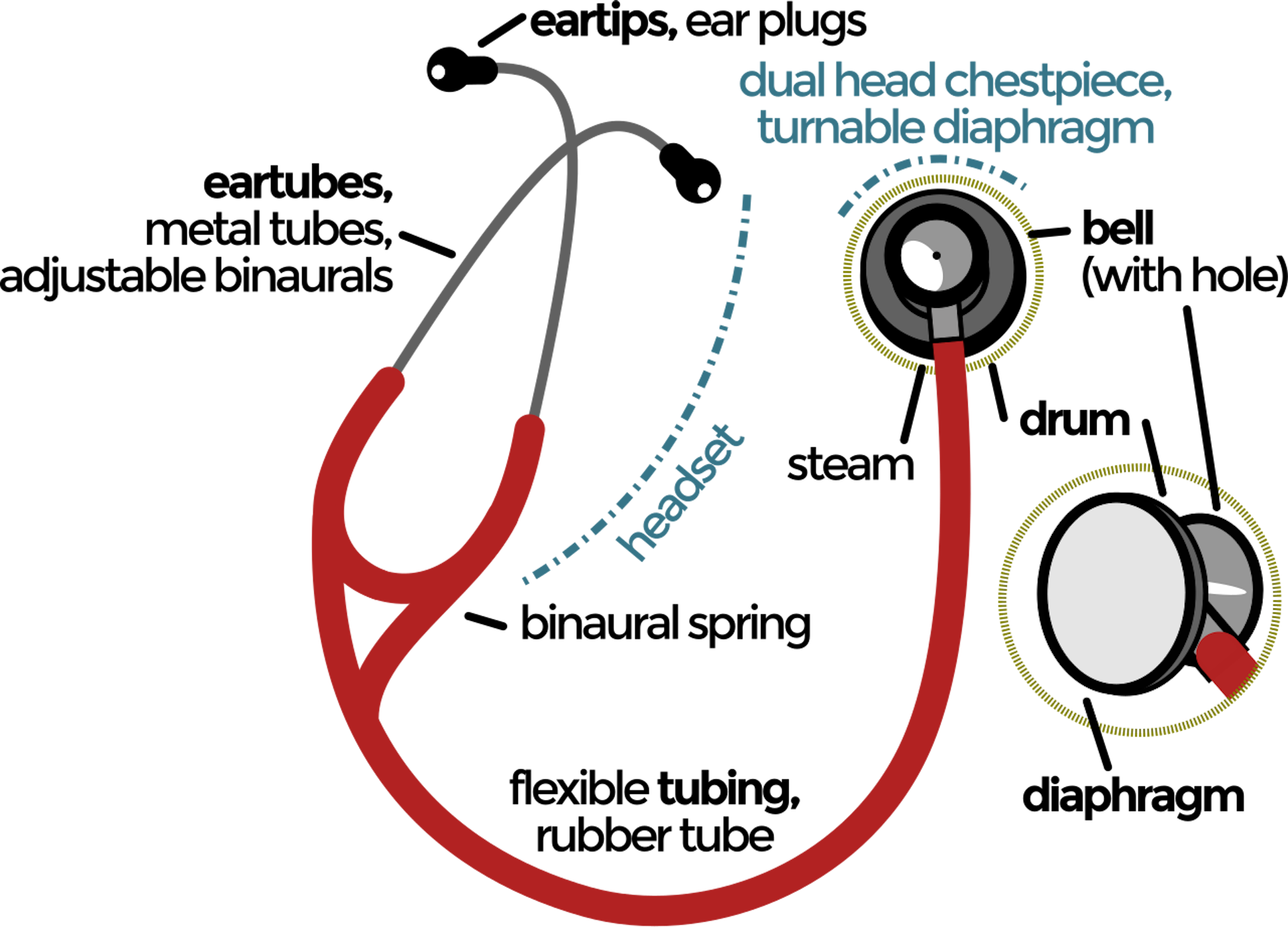 Diagram of stethoscope