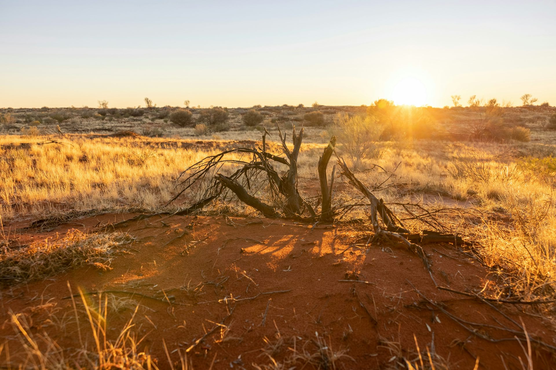 Why Jane Harper’s ‘outback noir’ novels make for comfortable – and uncomfortable – reading