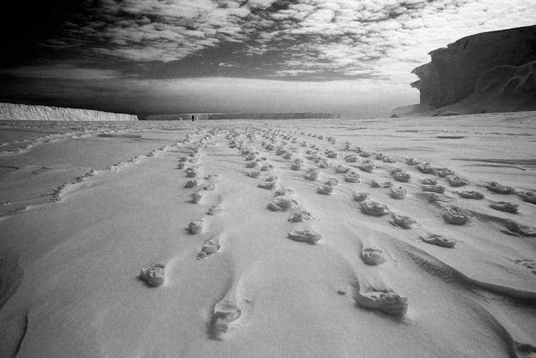 Footprints in snow