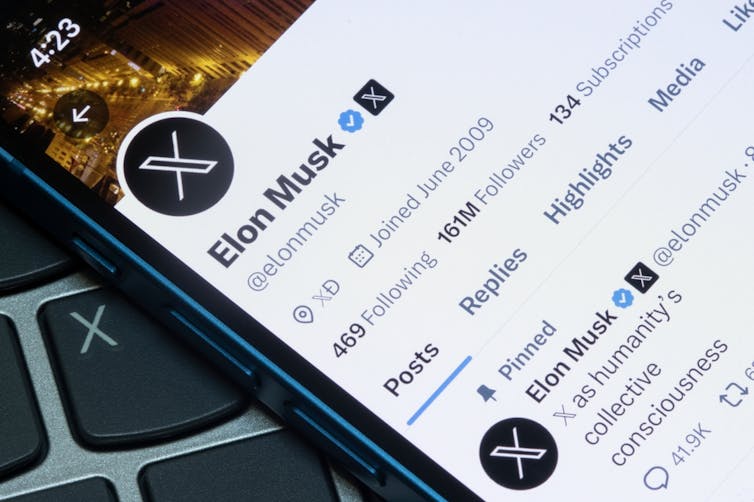 Elon Musk's X profile