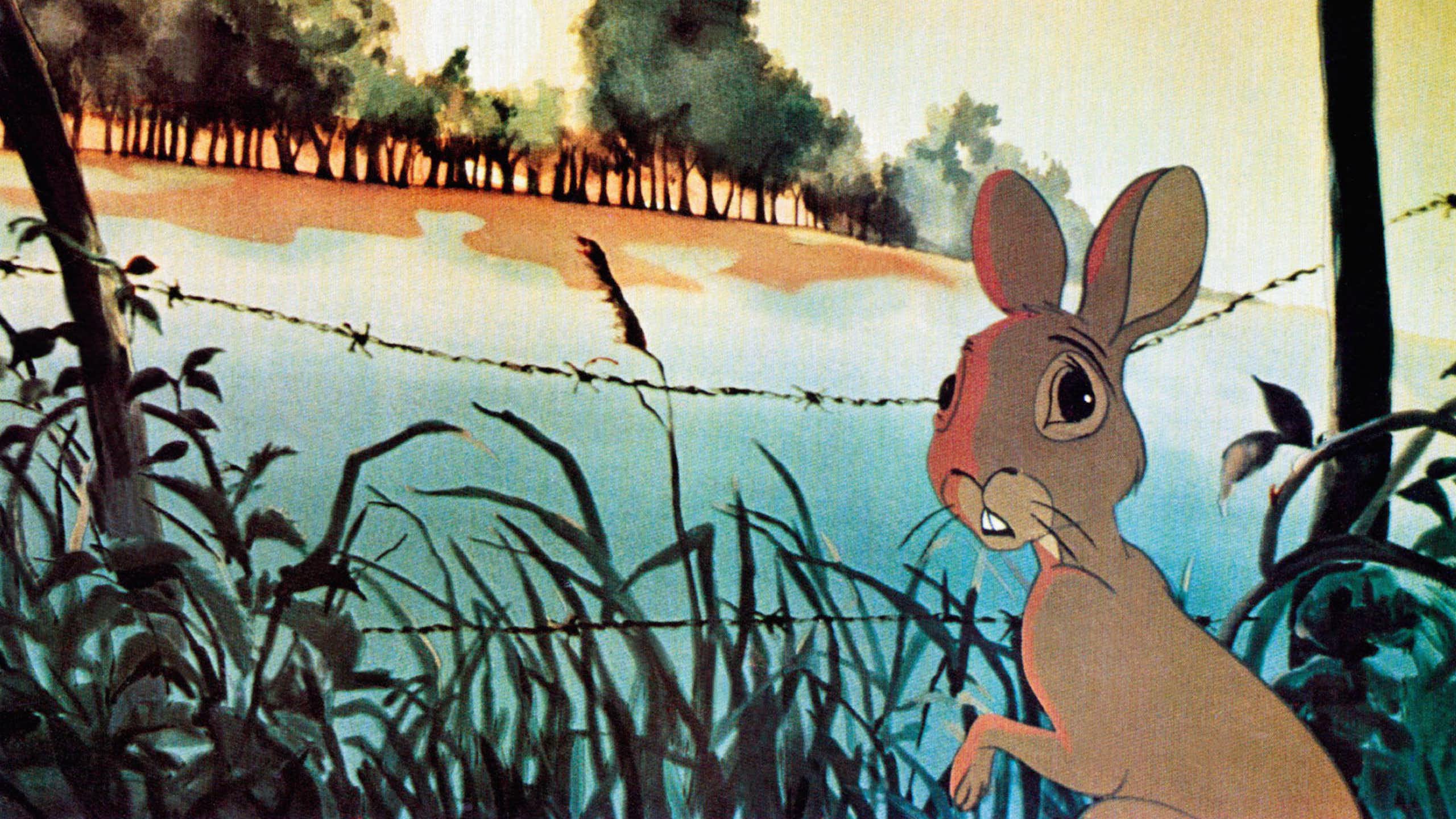 Rabbits at a wired fence looking onto a lake.