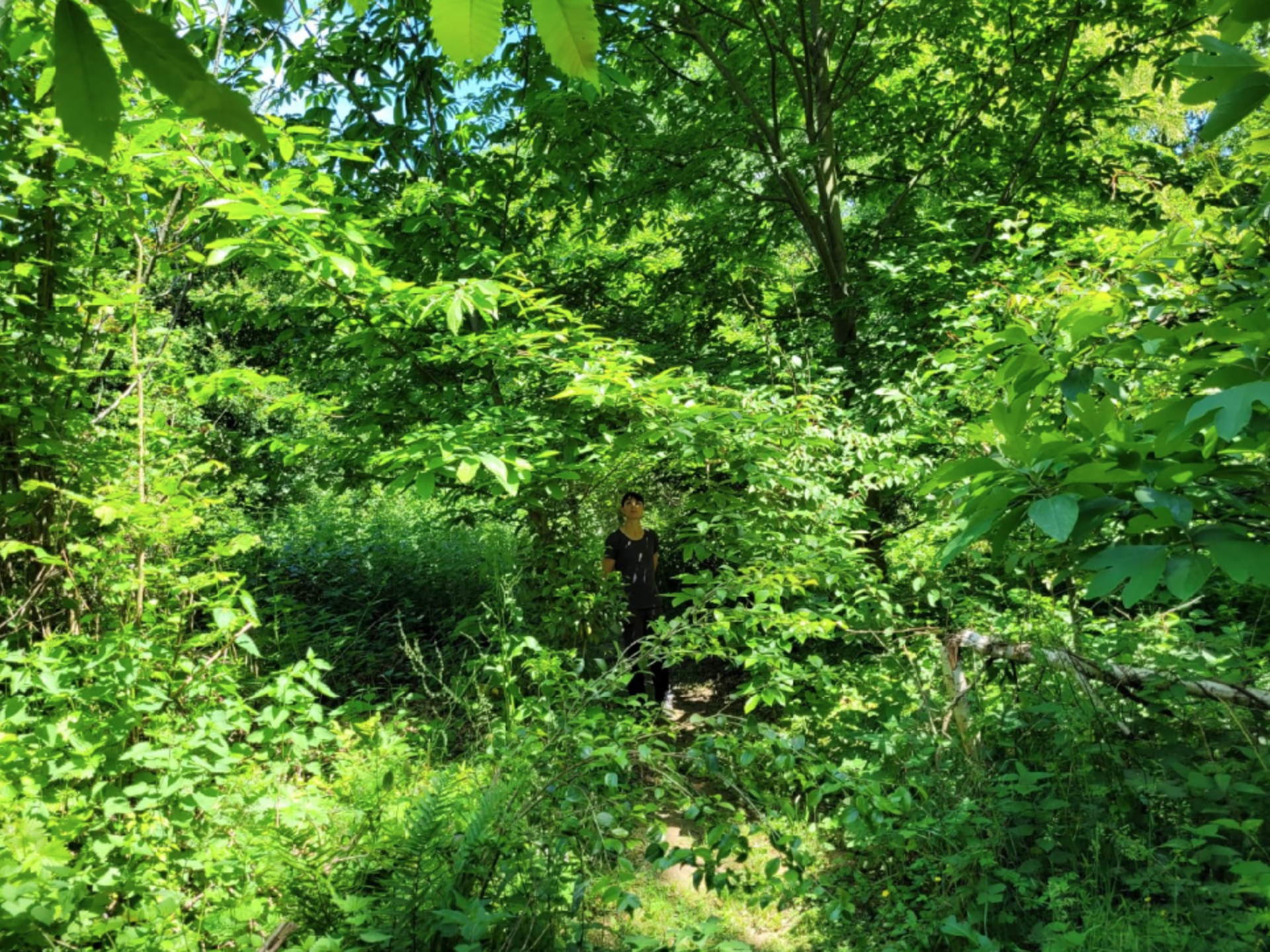 file 20251015 56 vuqmoi.png?ixlib=rb 4.1