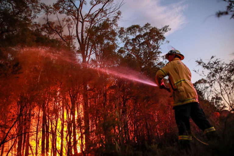 A firefighter in a yellow jacket sprays water on a bush fire