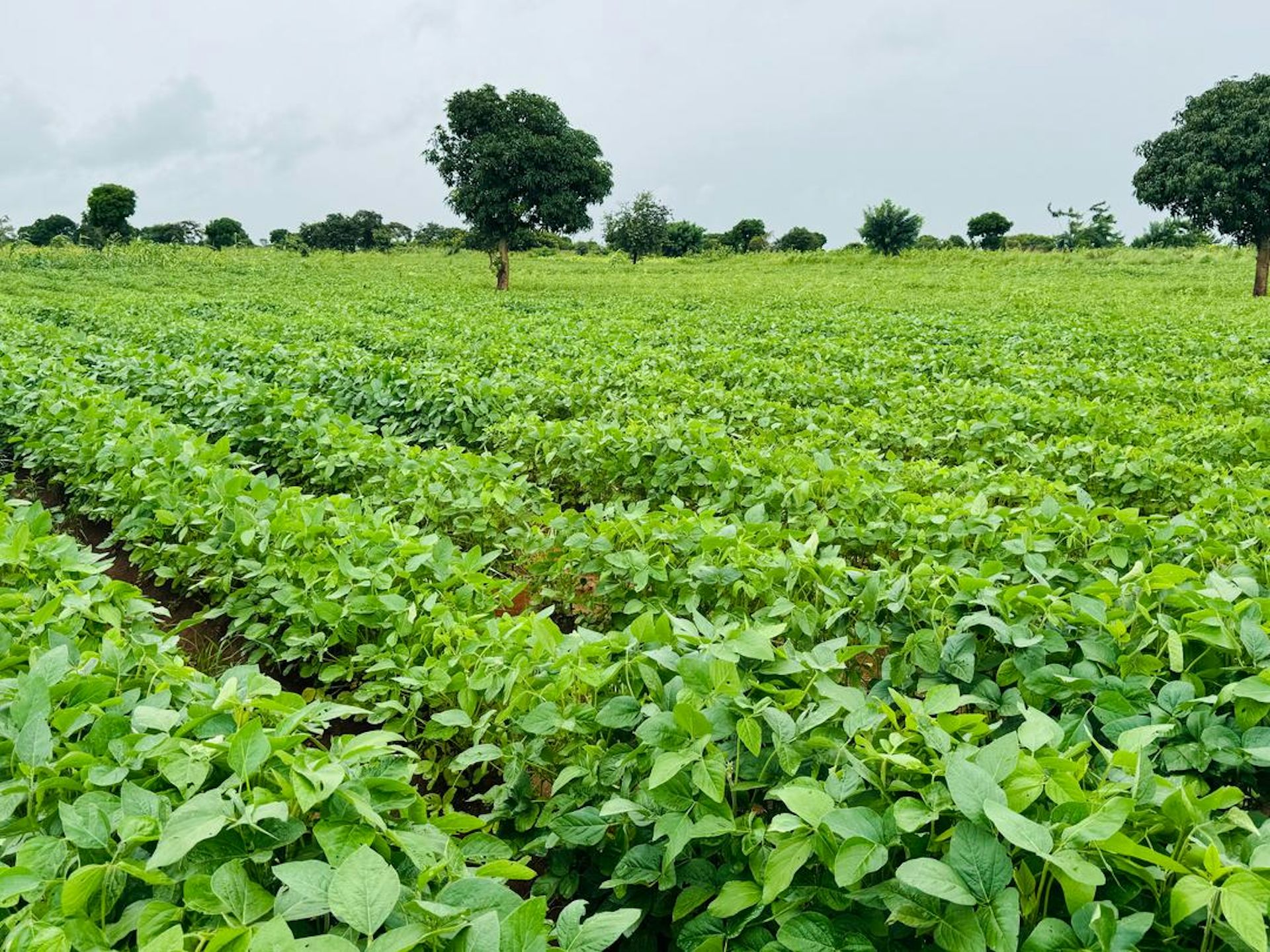 four steps to boost production and make markets work better