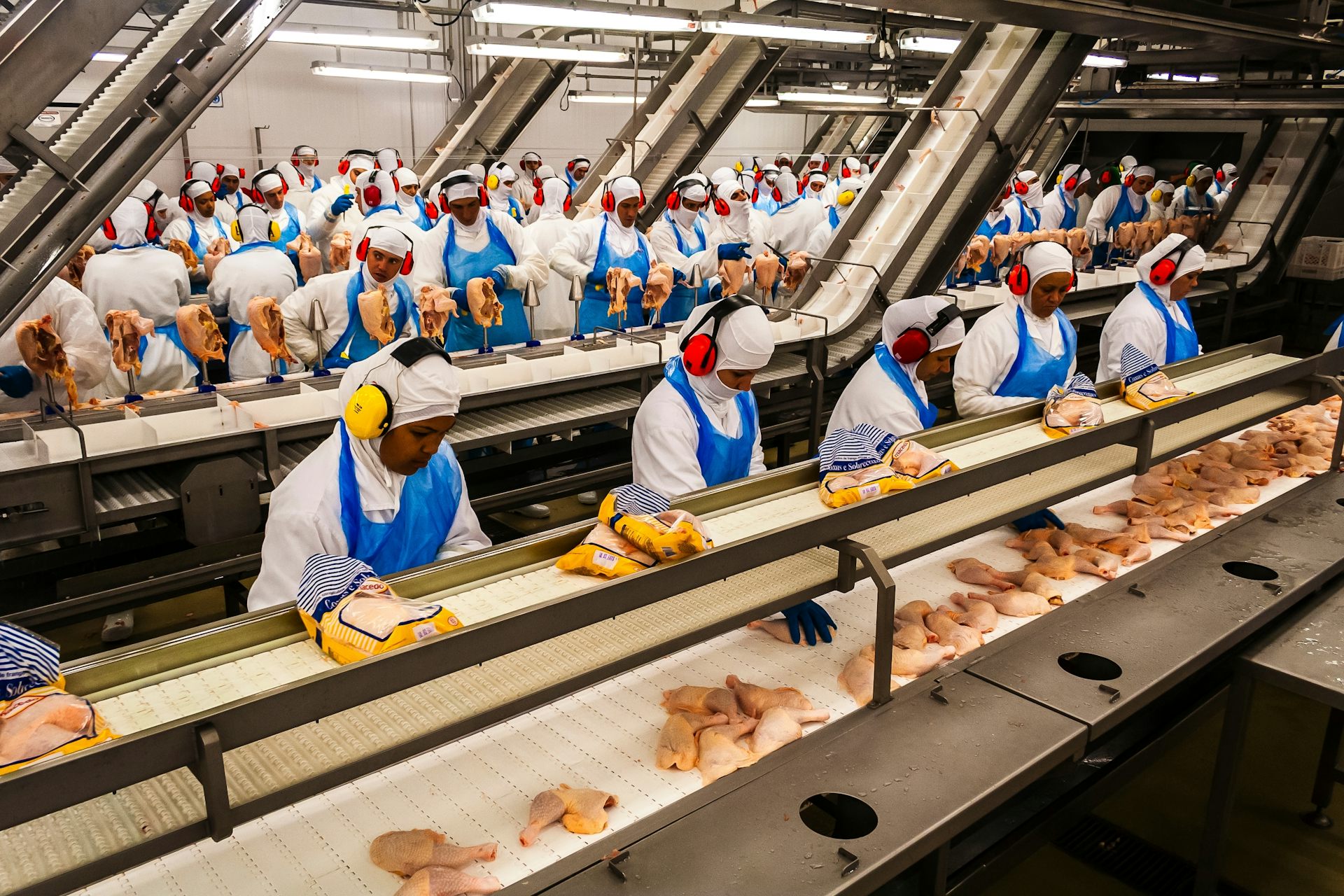 Factory line at chicken packaging facility