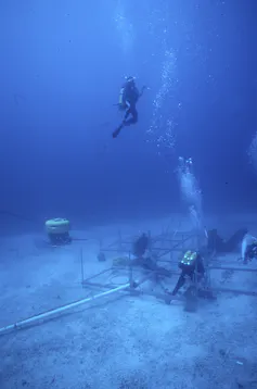 An undersea photo shows two divers at a ship excavation site.