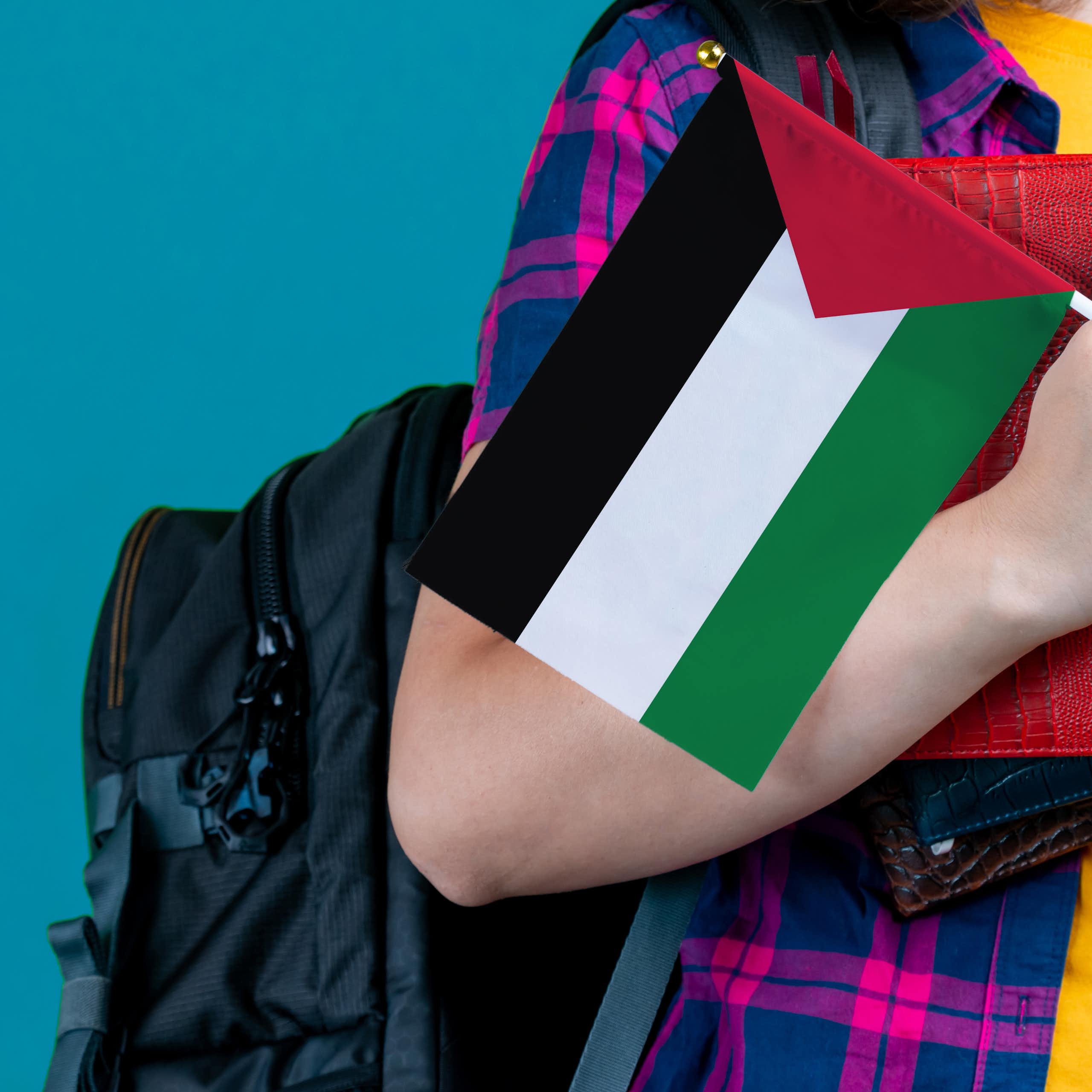 Una niña sostiene una bandera palestina.