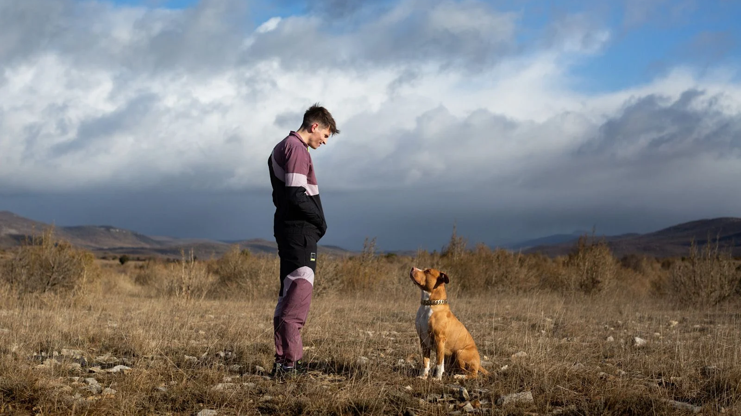 Un jeune homme en jogging regarde son chien dans la campagne