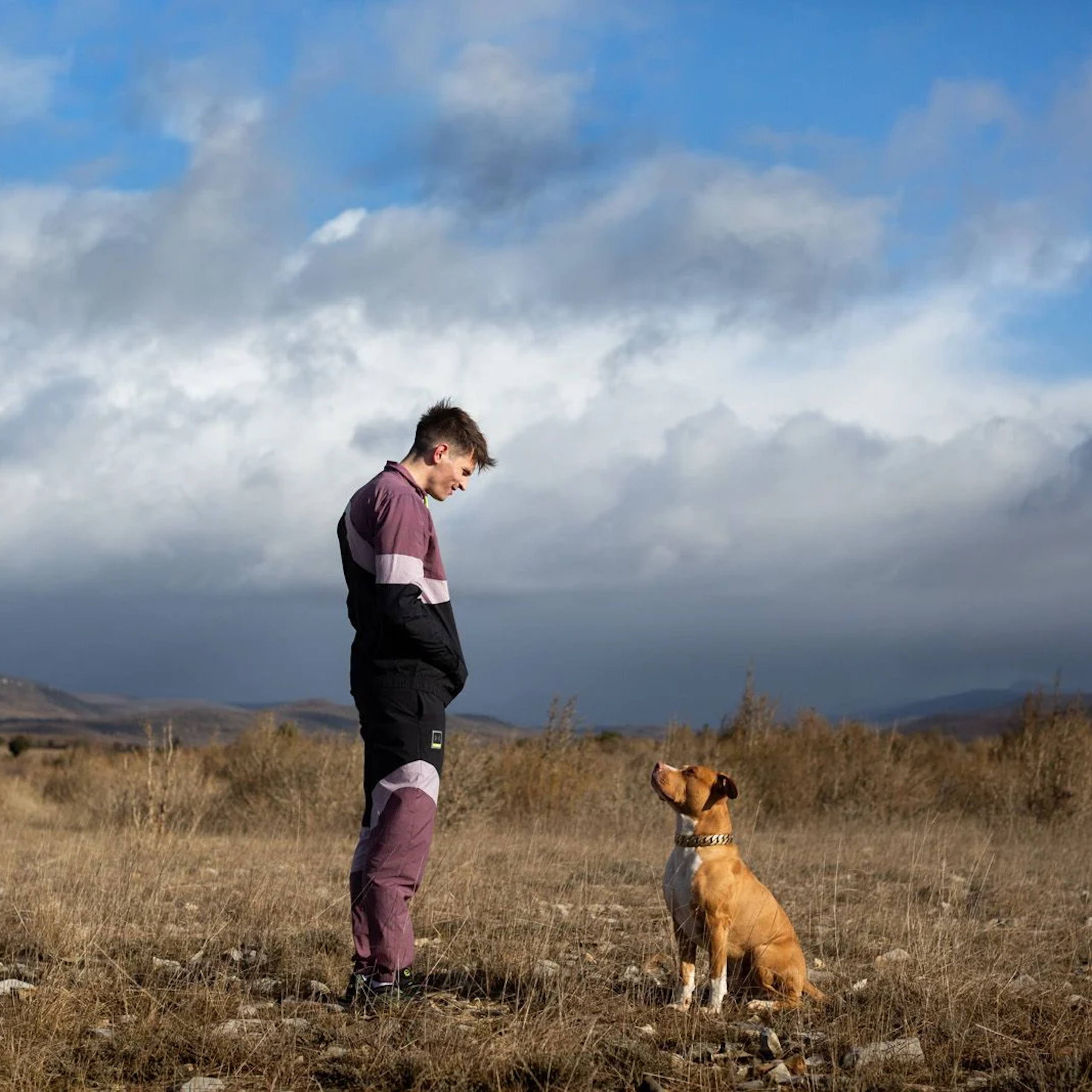 Un jeune homme en jogging regarde son chien dans la campagne