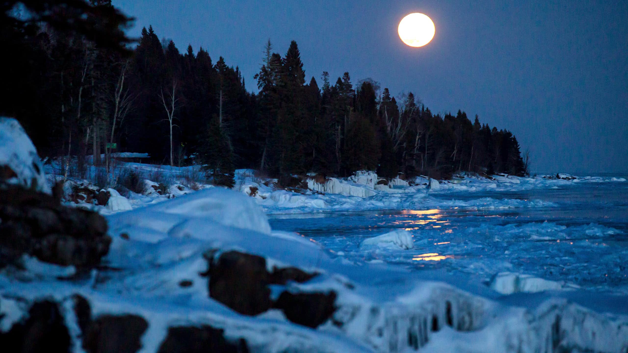 rive gelée d'un lac bordée d'arbres. Une pleine lune dans le ciel au-dessus.