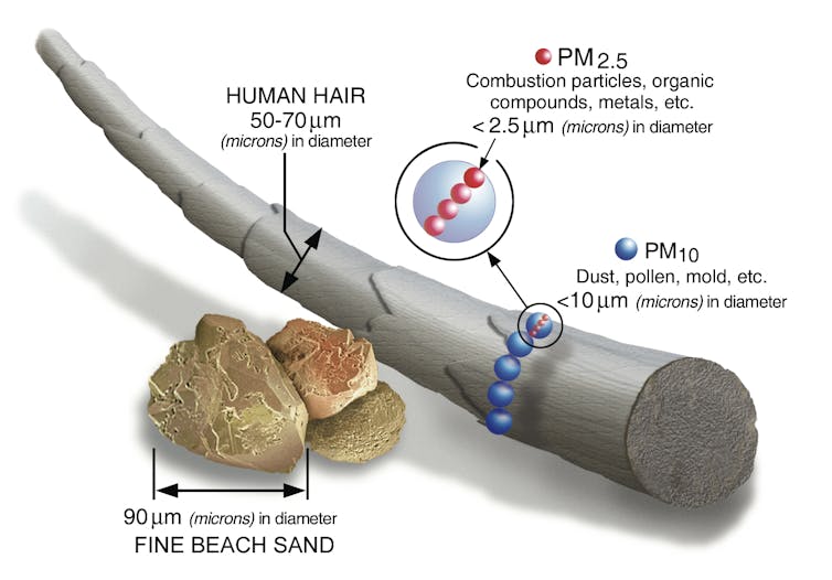 An illustration shows a human hair and a grain of beach sand to compare with the size of particulate matter.