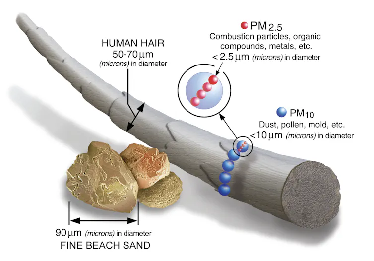 An illustration shows a human hair and a grain of beach sand to compare with the size of particulate matter.