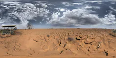 dry cracked ground, dark cloudy skies
