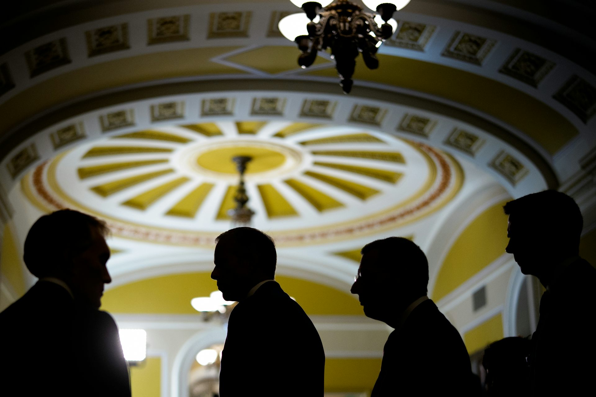 Men in suits shown in shadow underneath elaborate ceiling with arches