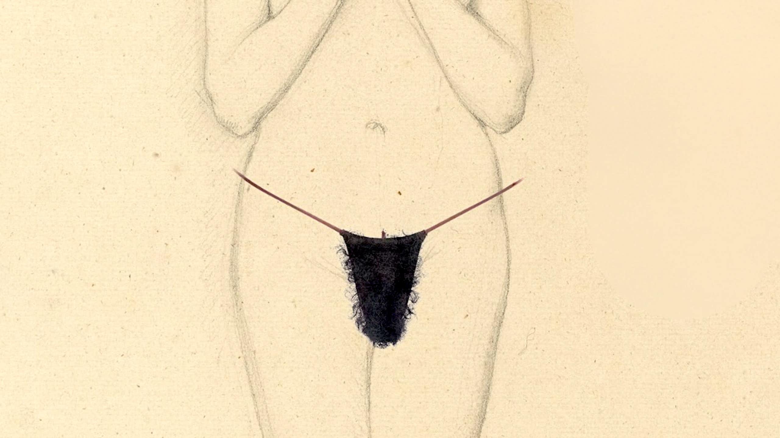 A composite image shows an old sketch of a naked female form (between the shoulders and knees) overlayed with a modern image of a pubic wig.