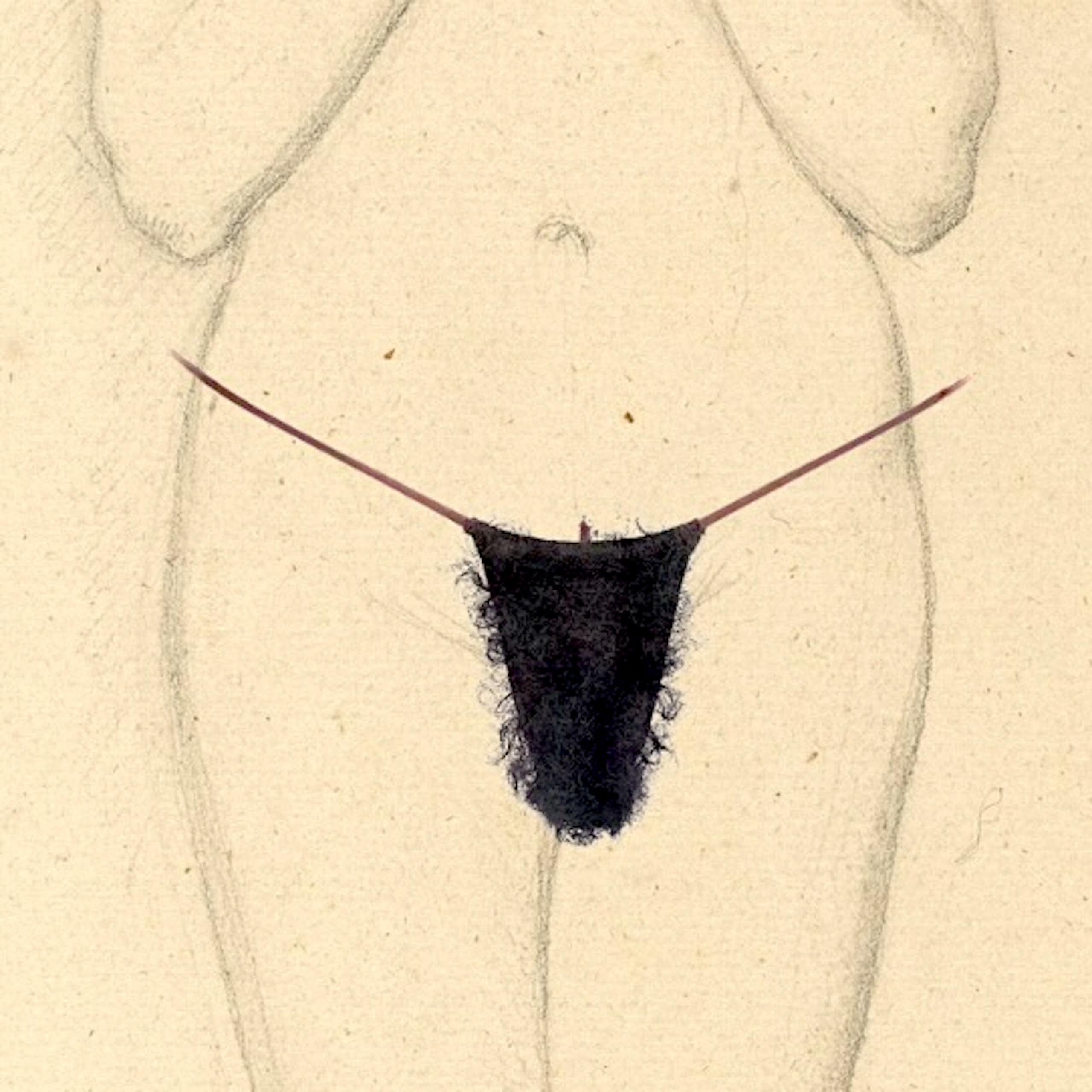 A composite image shows an old sketch of a naked female form (between the shoulders and knees) overlayed with a modern image of a pubic wig.