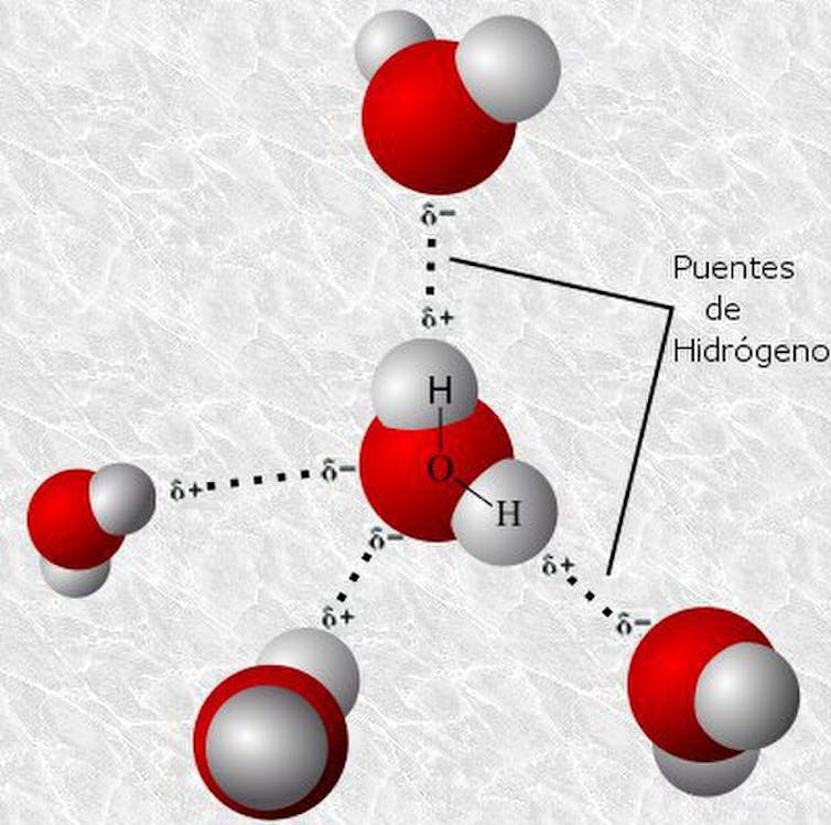 The artwork (and chemistry) of a excellent curl: that is how hair's hydrogen bonds paintings 1 file 20251020 56 dtoq16.jpg?ixlib=rb 4.1