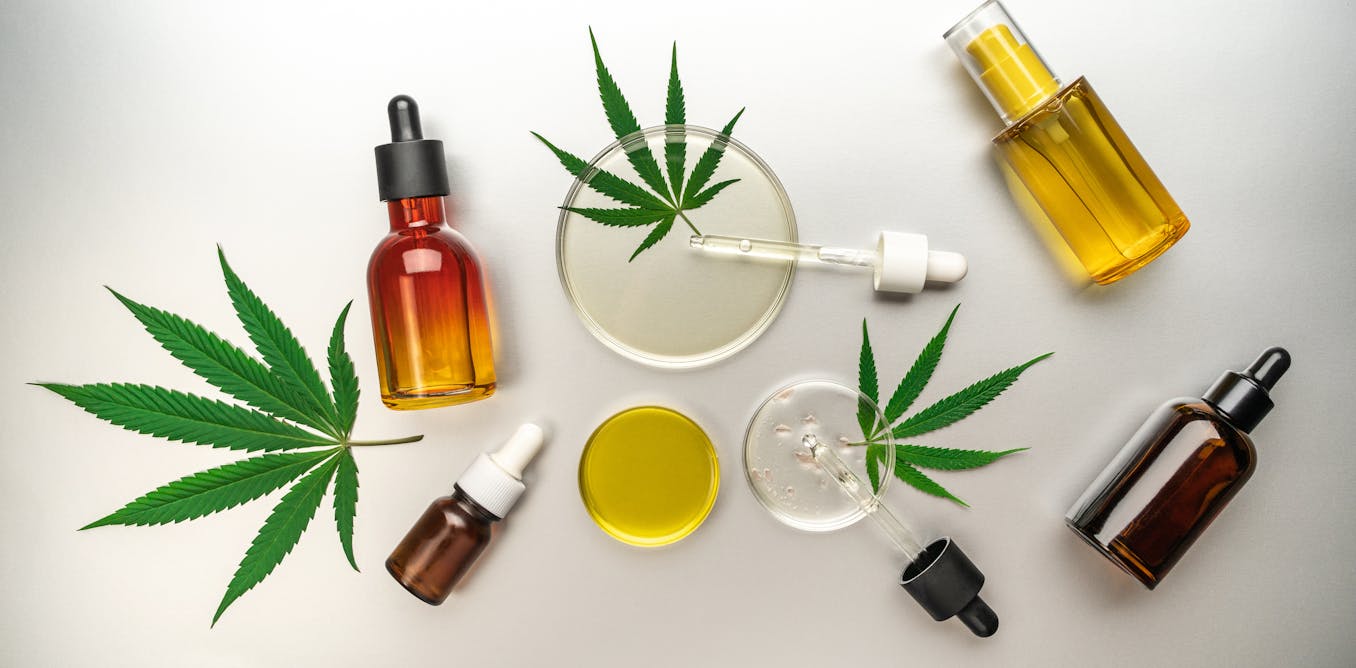 Cannabis boom in South Africa and Zimbabwe is good for wealthy investors, bad for small farmers
