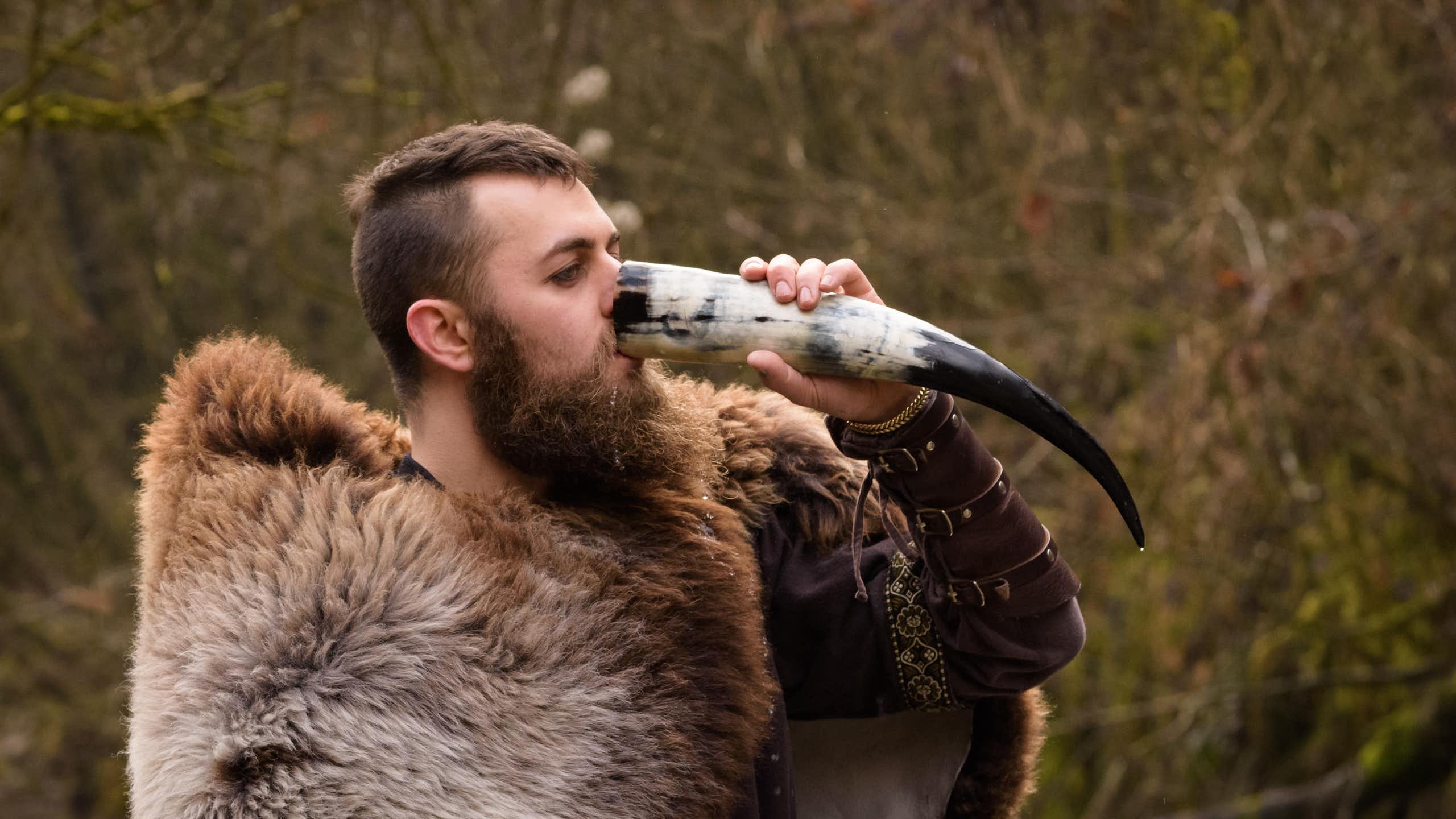 A Viking drinking mead.