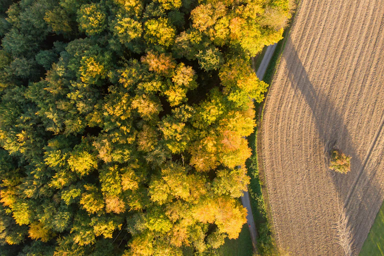 Faut-il séparer les espaces agricoles et ceux dédiés à la biodiversité ou bien les réunir ?