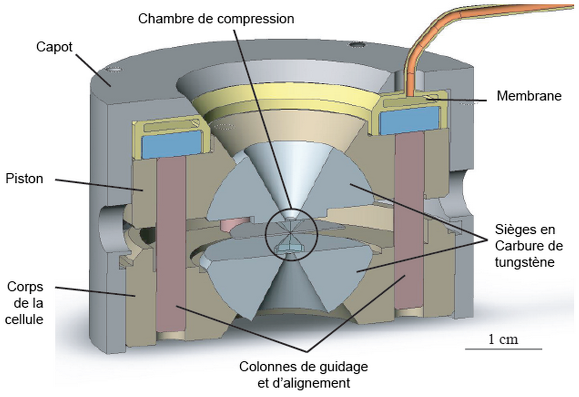 Schematic of the experimental setup showing the diamond anvils