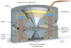 Earth's magnetic box might be nearly everlasting 1 Schematic of the experimental setup showing the diamond anvils