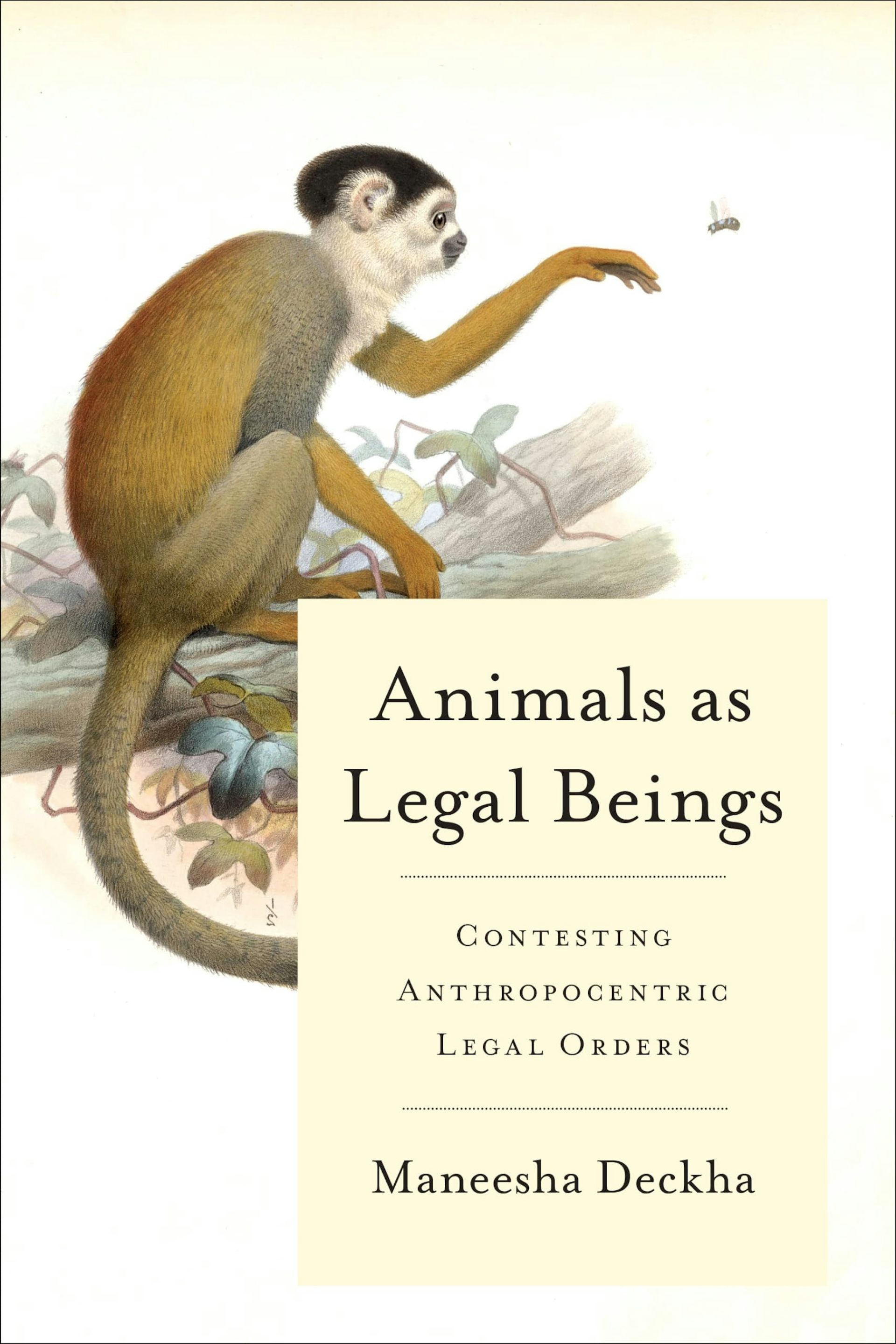 Book cover of 'Animals as Legal Beings' by Maneesha Deckha. It has a painting of a monkey on the cover