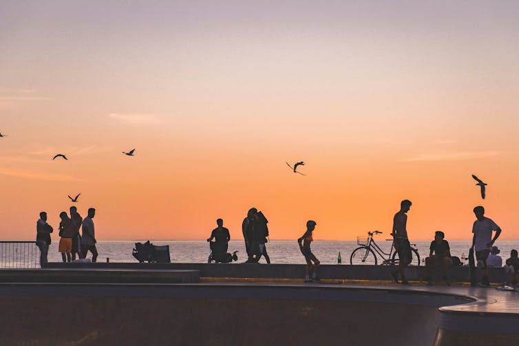 The silhouettes of beachgoers and birds against the setting sun