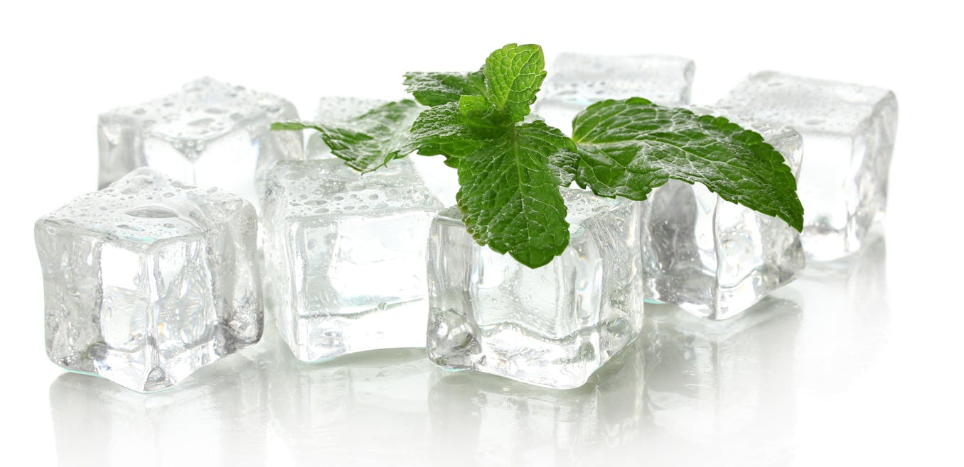 Mint Vs Menthol. What's The Difference? - TECC Blog