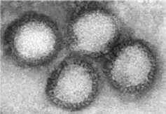 A black and white image of black circles with white inside.