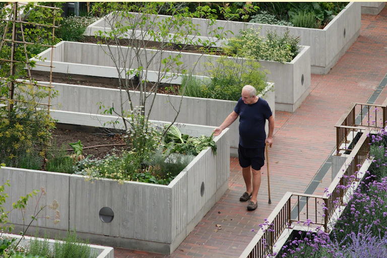 An old man in a rooftop garden.