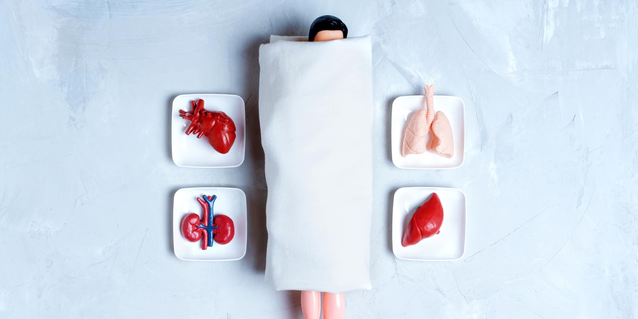 From monkey glands to ‘young blood’: the long, strange history of chasing immortality through transplants