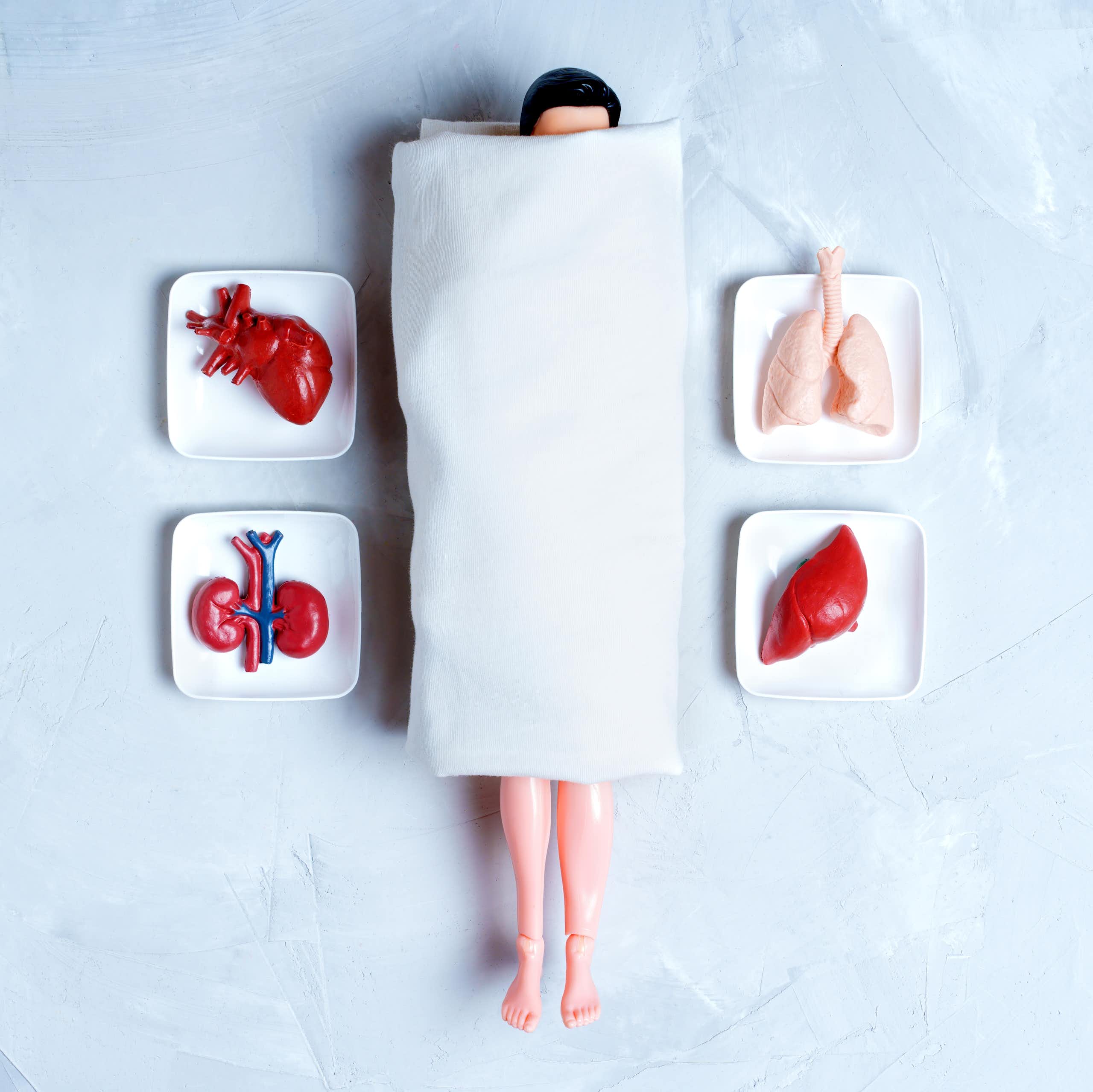 From monkey glands to ‘young blood’: the long, strange history of chasing immortality through transplants