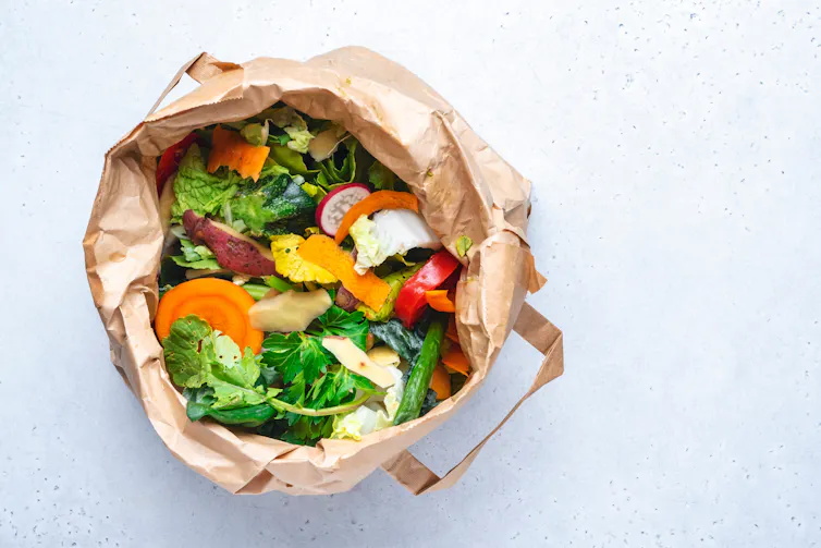 food waste in brown bin bag, white background