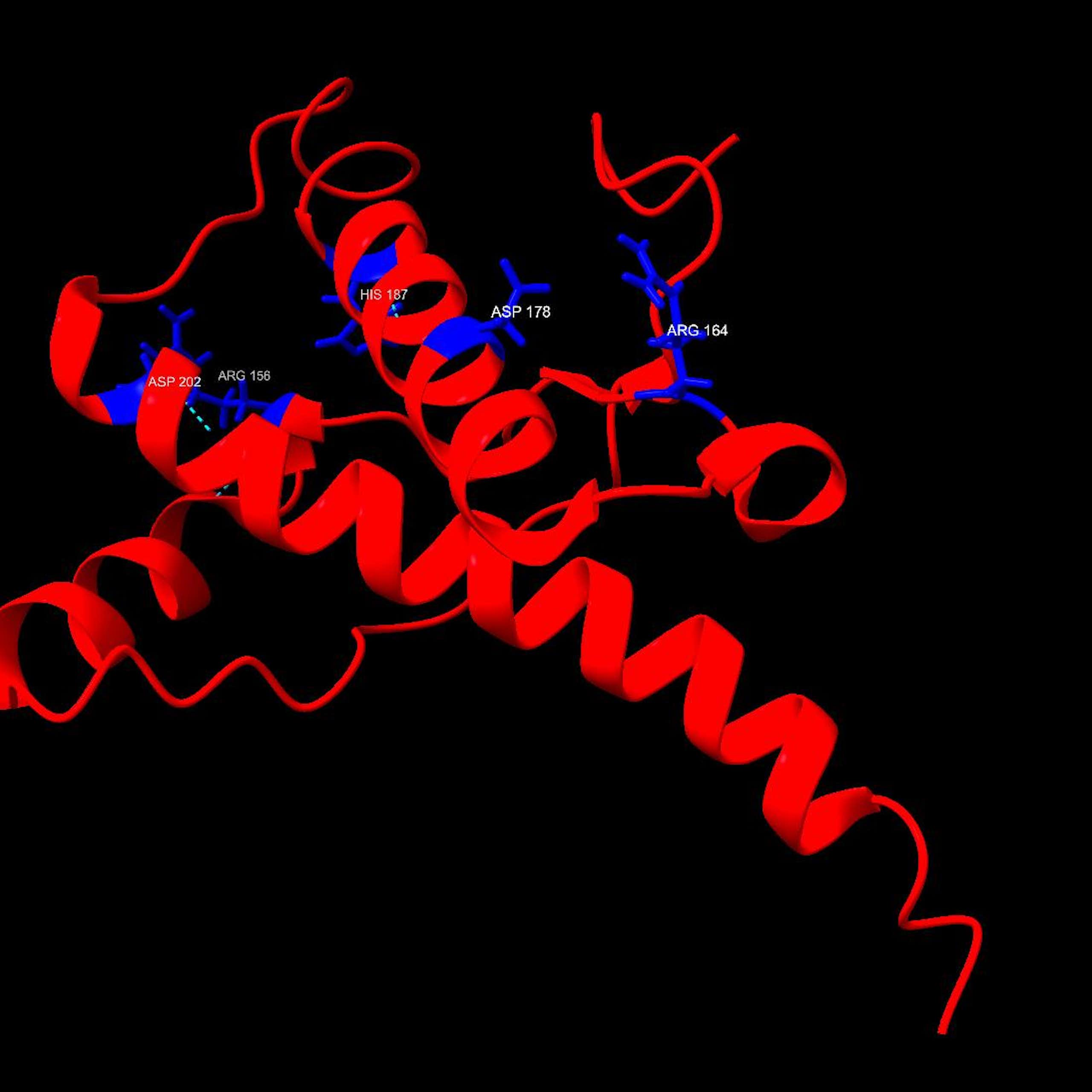 Doenças priônicas: raras, mas devastadoras