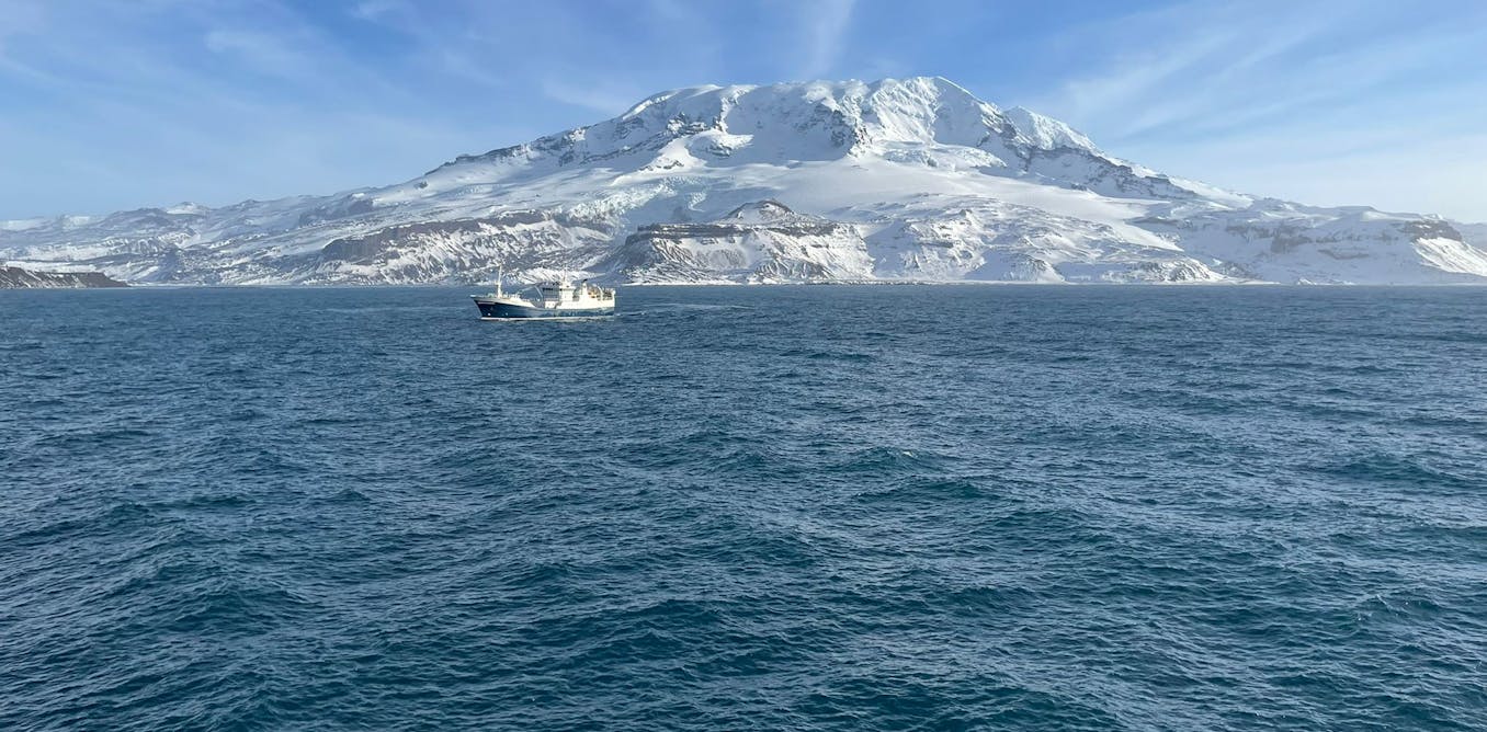 Fish stocks off icy Heard Island bounced back when illegal fishing stopped and sustainable fishing continued Fish stocks off icy Heard Island bounced back when illegal fishing stopped and sustainable fishing continued