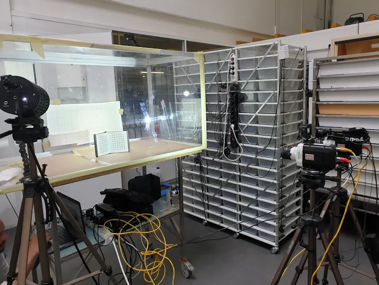 Cameras and lights surrounding a plexi glass box.
